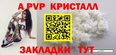 дмт Нальчик