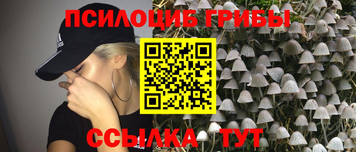 Урюпинск  Псилоцибиновые грибы Cubensis  Вход с VPN  купить  цена  Псилоцибиновые грибы GOLDEN TEACHER 